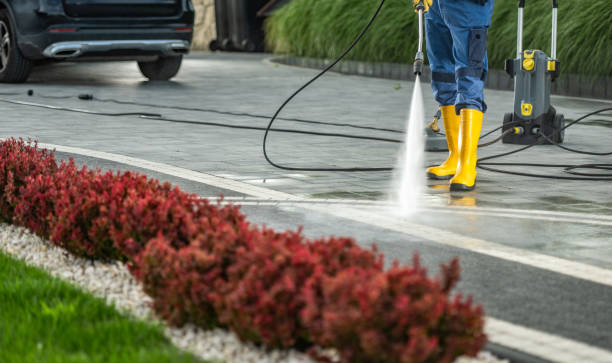 Best Affordable Power Washing  in Maryvle, IL