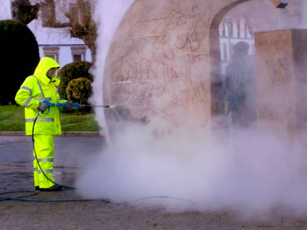 Best Affordable Pressure Washing  in Maryvle, IL