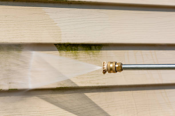 Best Best Pressure Washing Companies  in Maryvle, IL